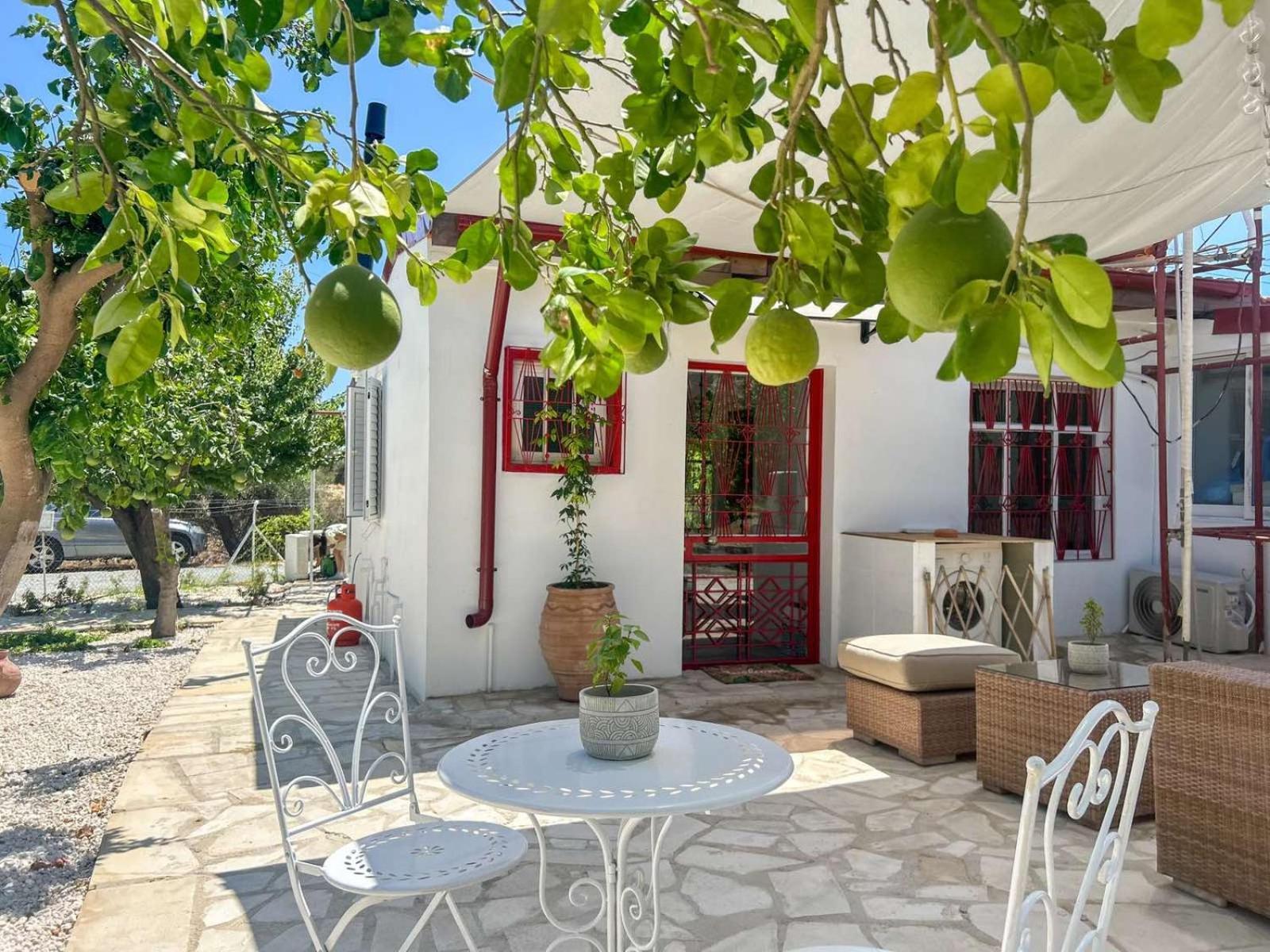 The Oliveorange Grove House! *