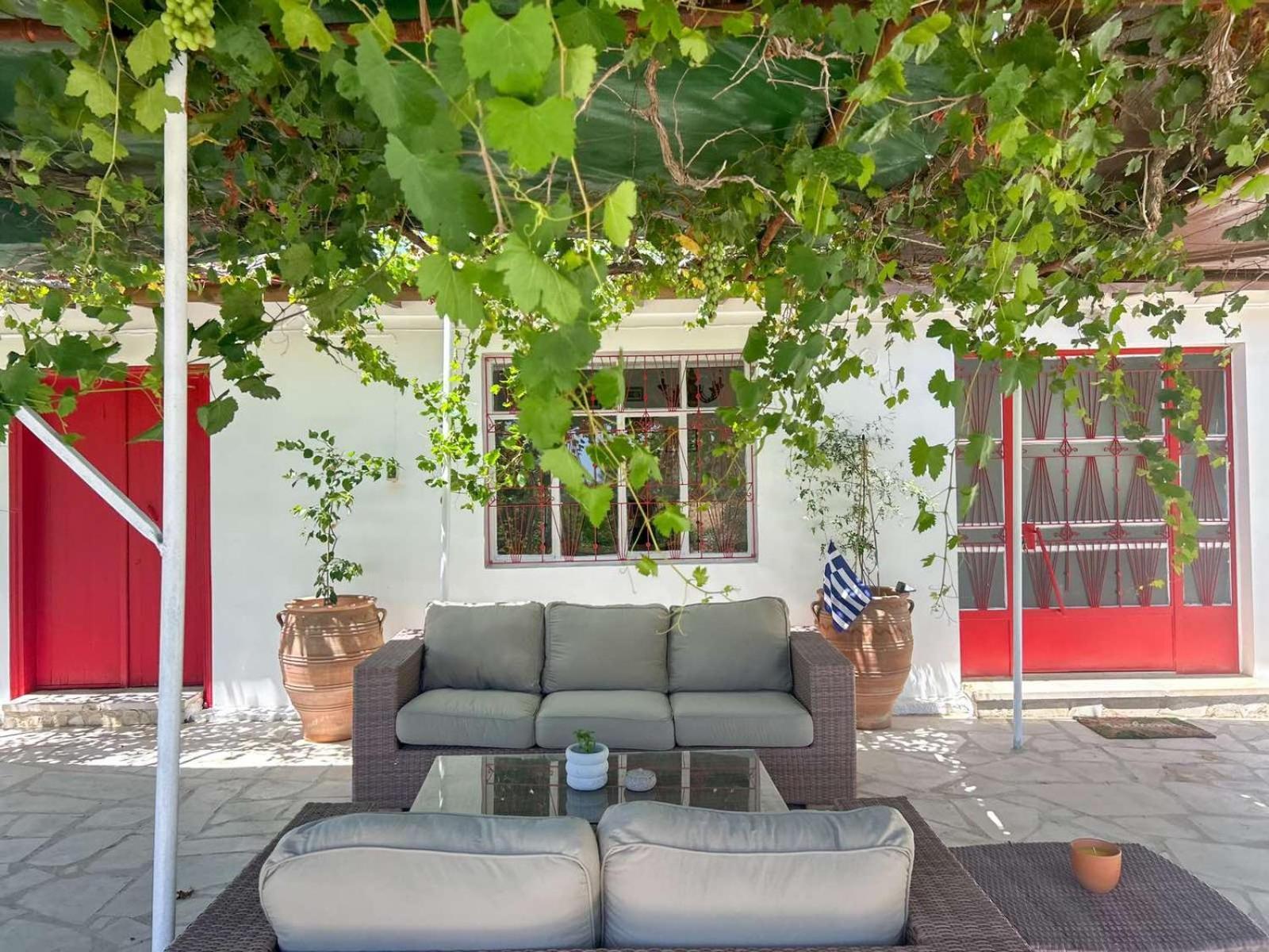 The Oliveorange Grove House!