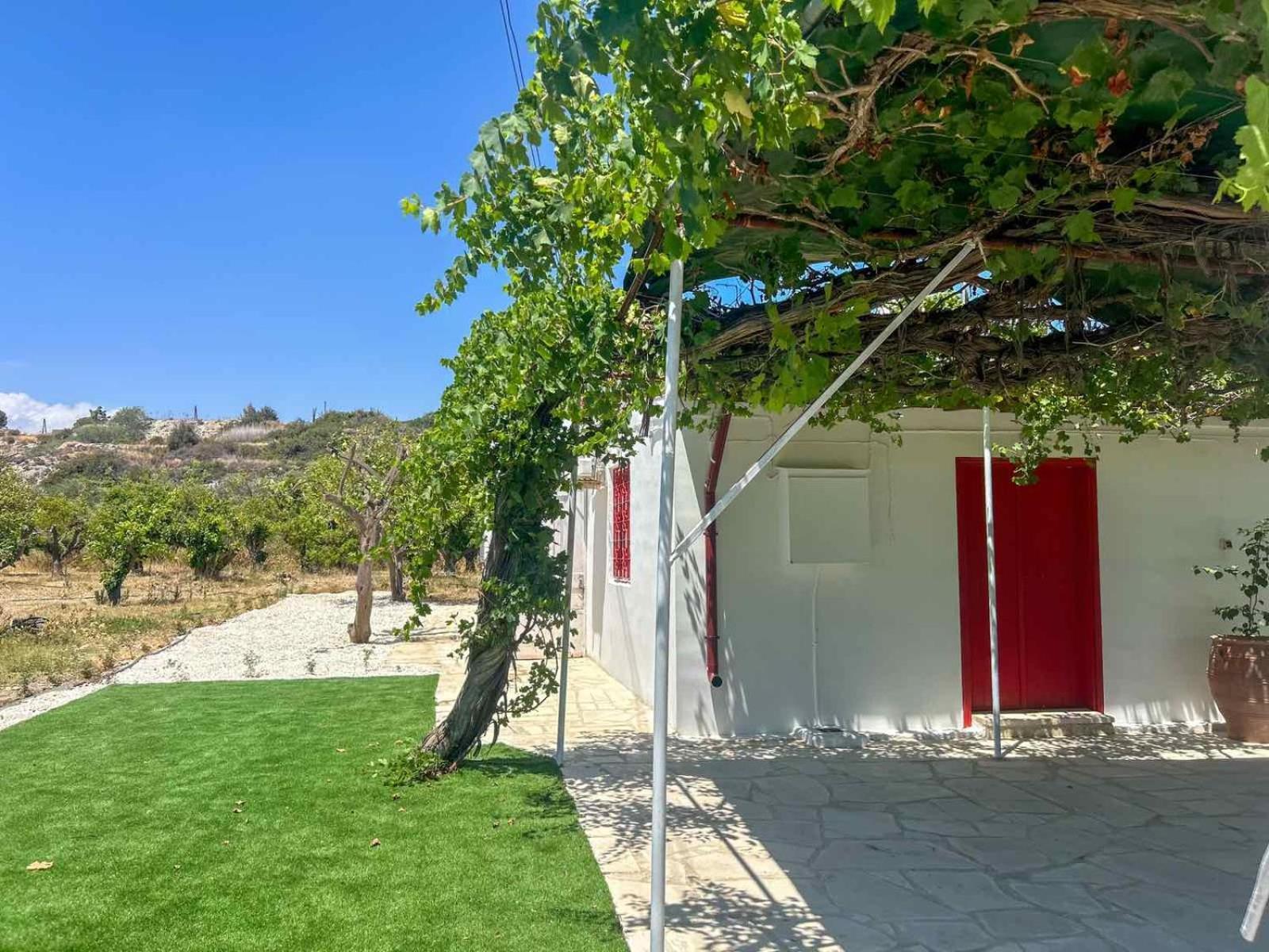The Oliveorange Grove House! Apartment *