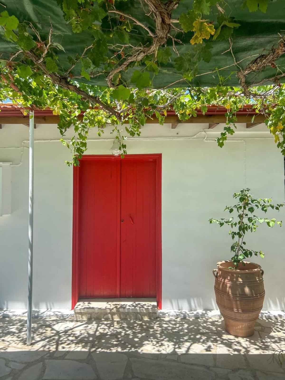 The Oliveorange Grove House!