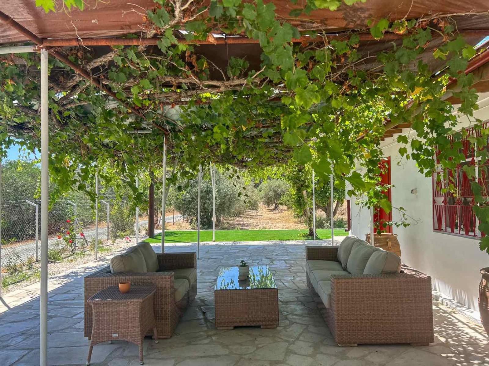The Oliveorange Grove House! Apartment