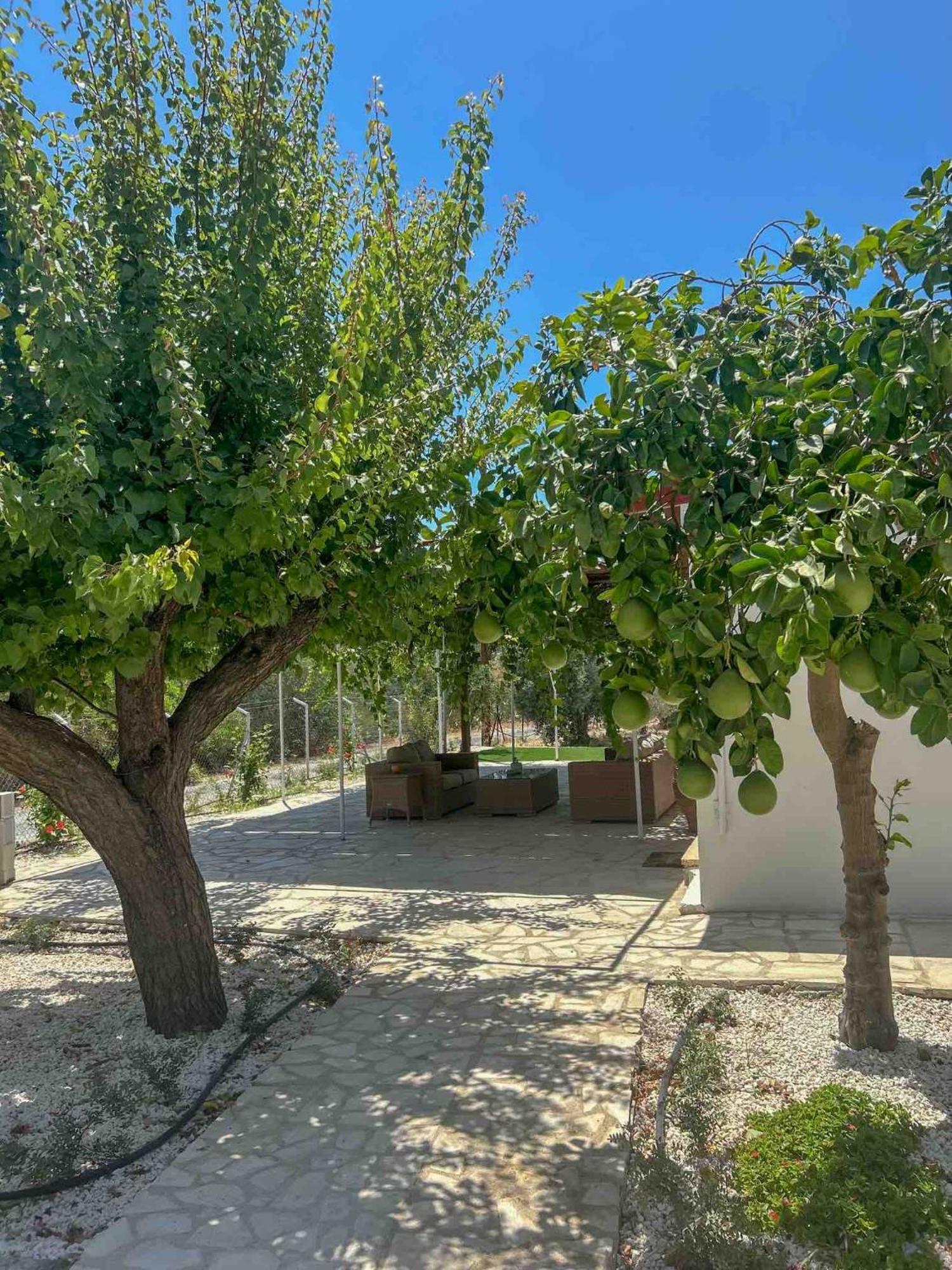 The Oliveorange Grove House!