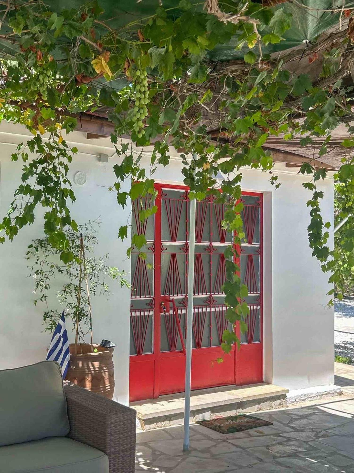 The Oliveorange Grove House! Apartment