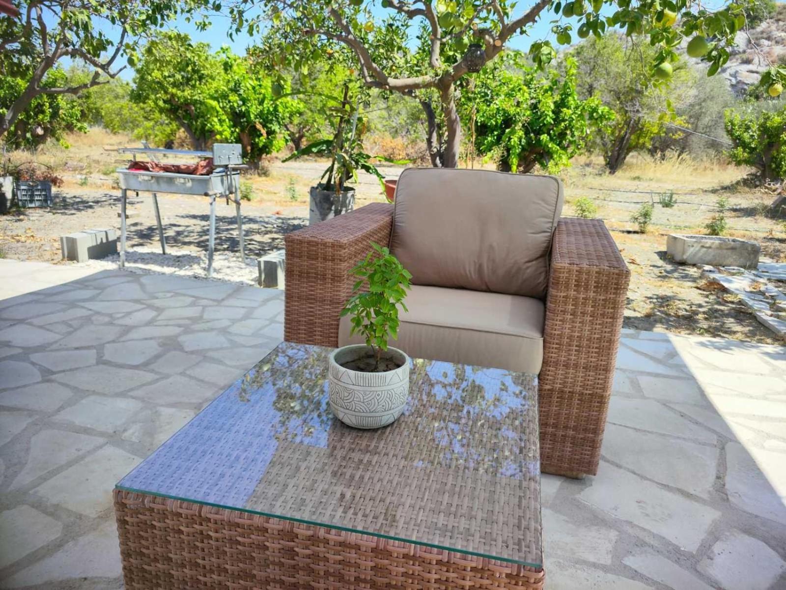 The Oliveorange Grove House!