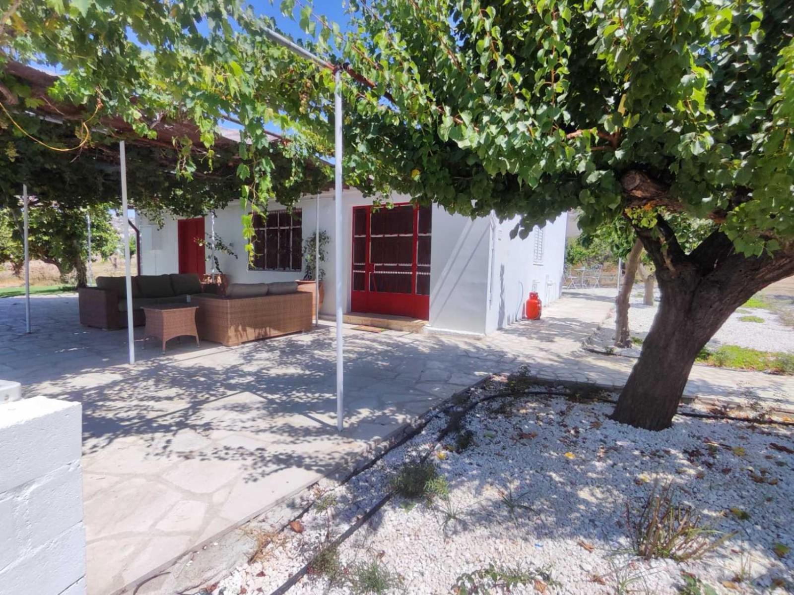 The Oliveorange Grove House!